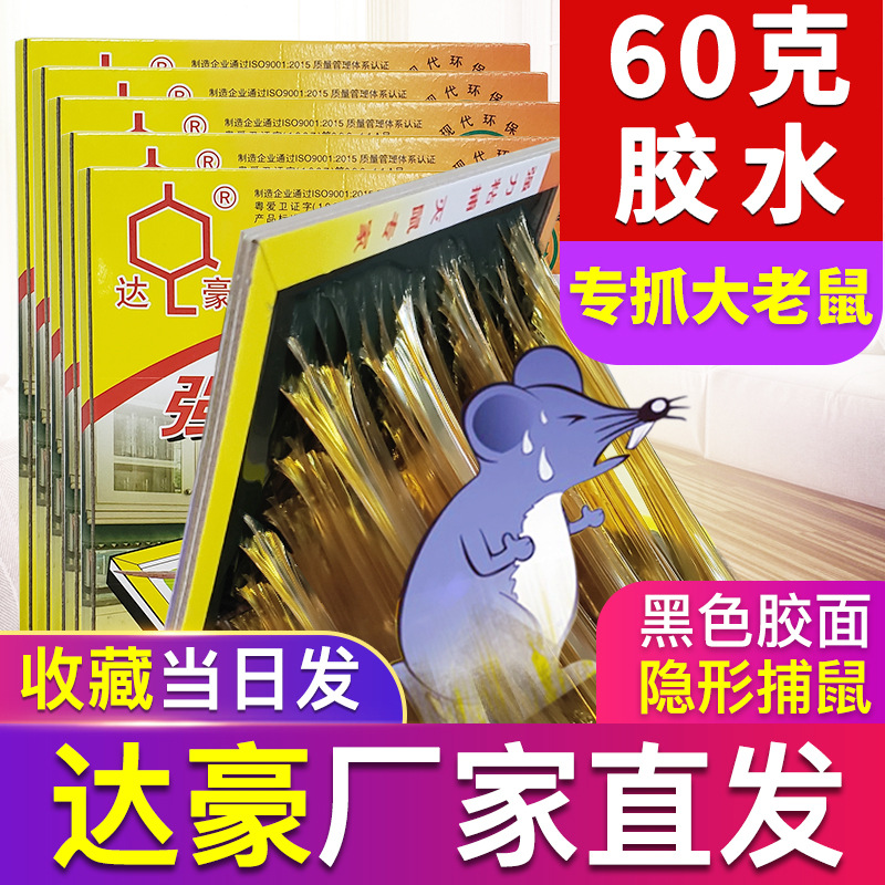 达豪 强力粘鼠板 a1#中外型 30克胶水 特惠装 新品上市