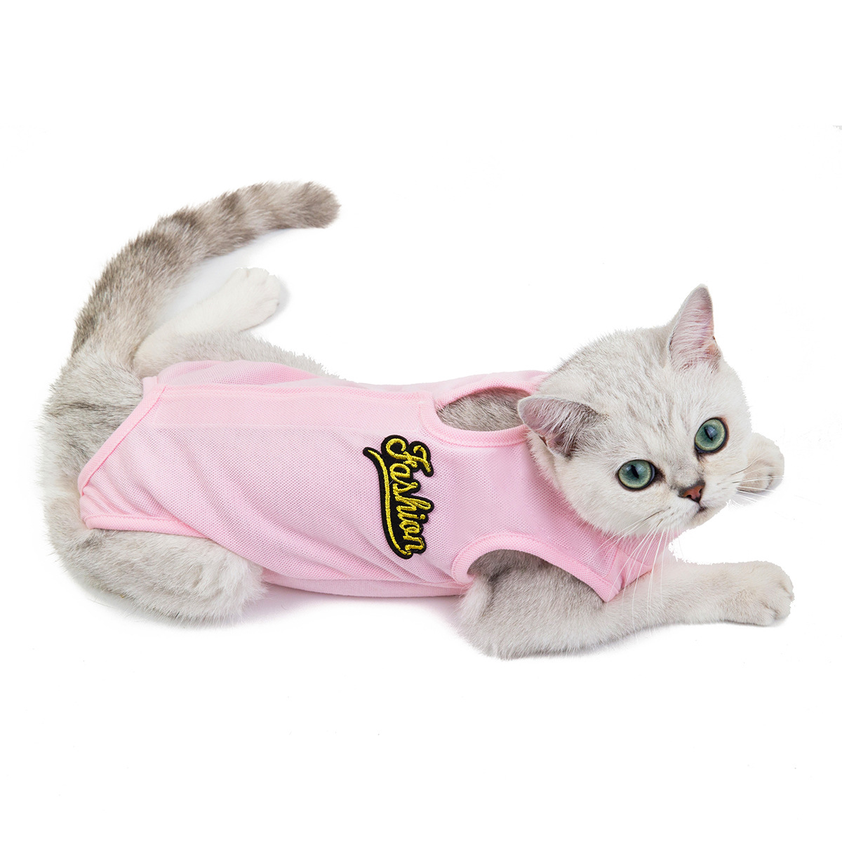 2019新款猫咪绝育手术后恢复衣服小猫服装宠物纯色生理裤一件代发