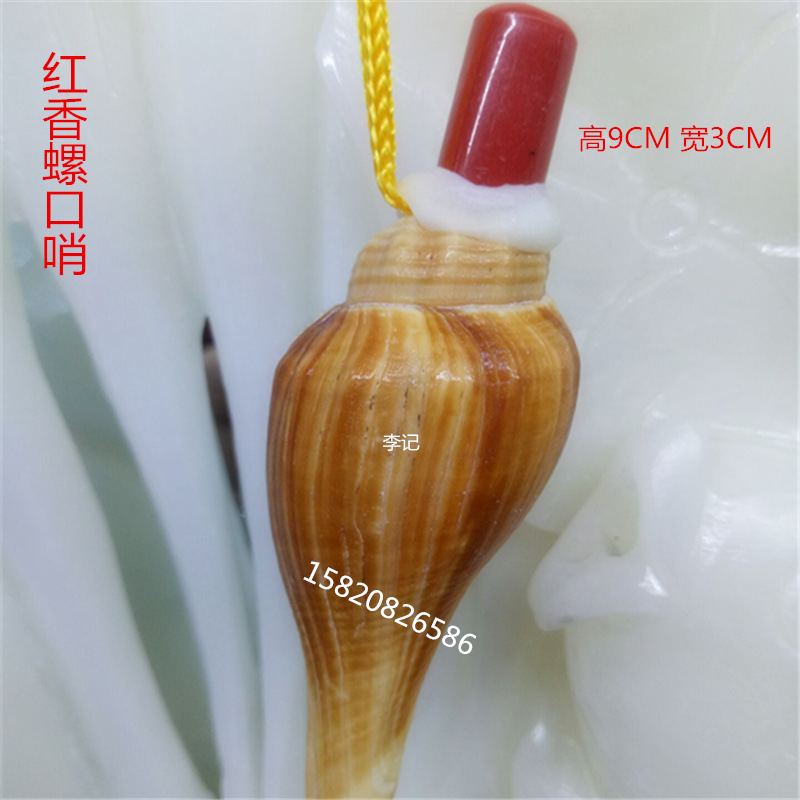 厂价直销旅游工艺品批发天然海螺口哨扁刺螺水波螺虎贝黑花螺挂件