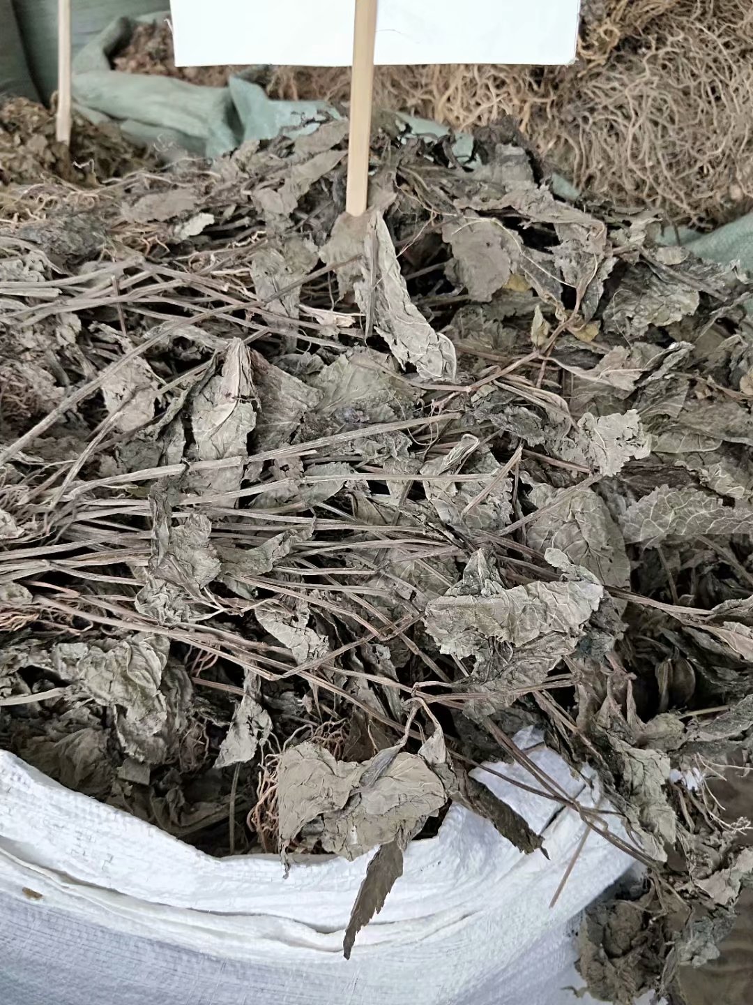 中药材四块瓦 四叶对 四叶细辛 万根丹 每件500克