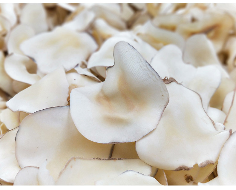 批发海底椰片 淡黄片薄片海底椰清热下火海底椰