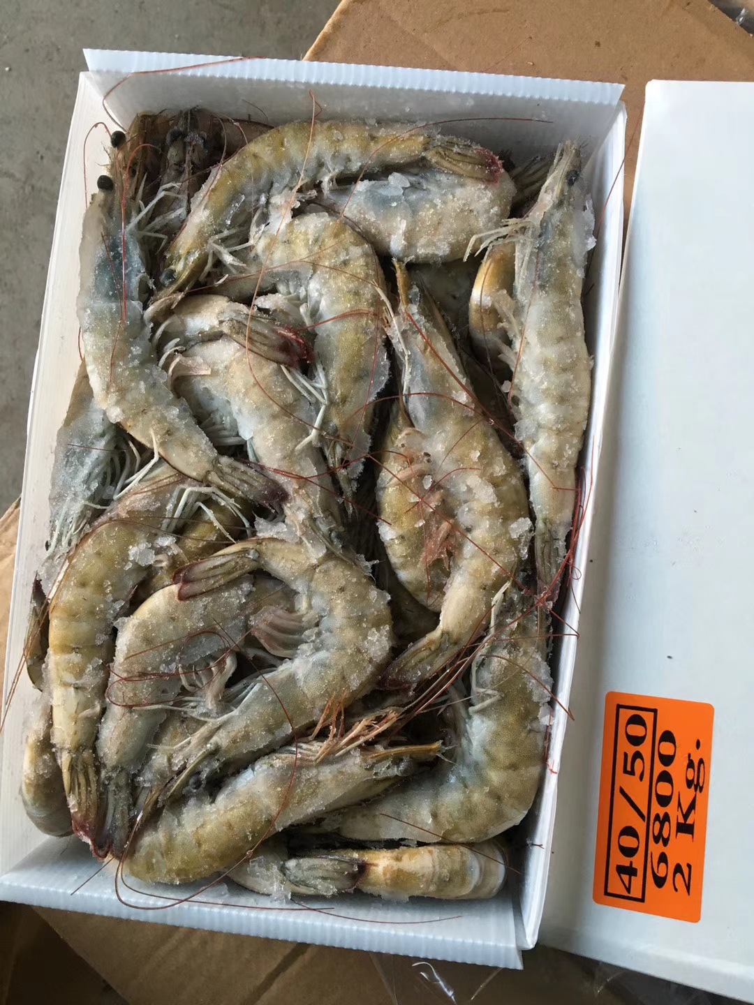 古巴大龙虾礼盒