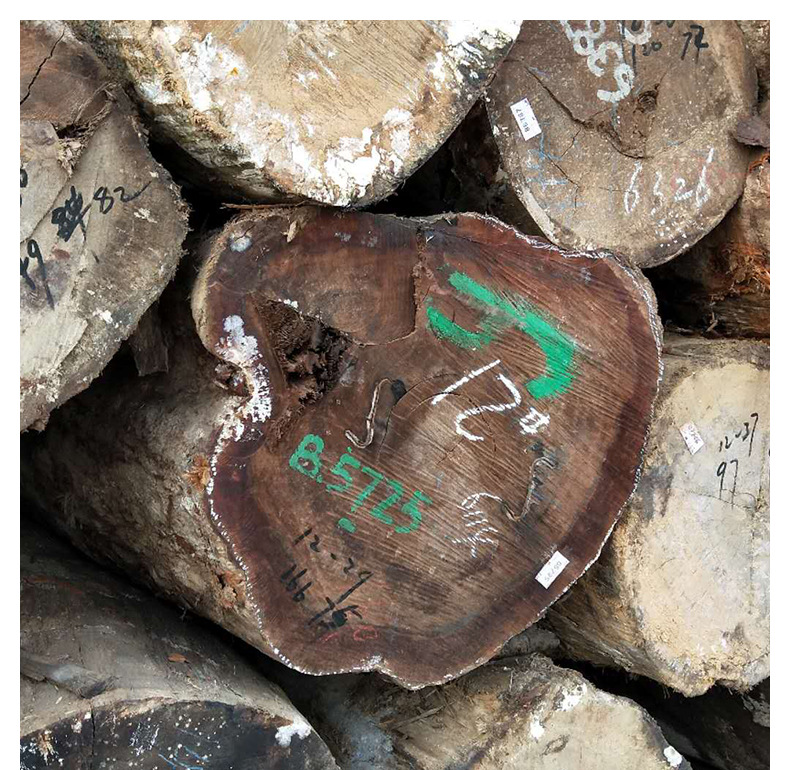 红橄榄原木 家具户外工程材园林柱子料 一手货源 量大从优