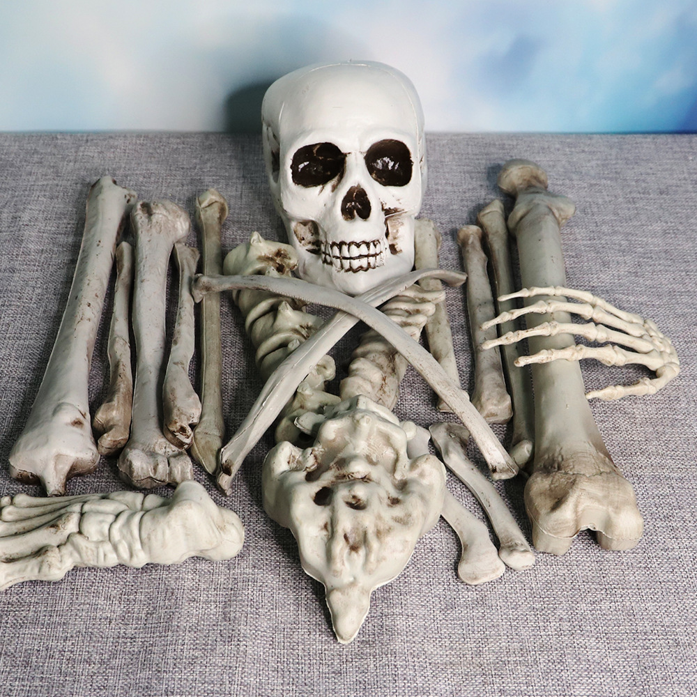 万圣节骷髅骨架新款仿真人体骨骼19块骨骼鬼屋密室逃脱装扮饰道具