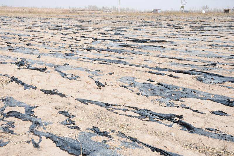 针对近年来越来越严重的土壤耕力退化问题,整理一些土壤改良措施