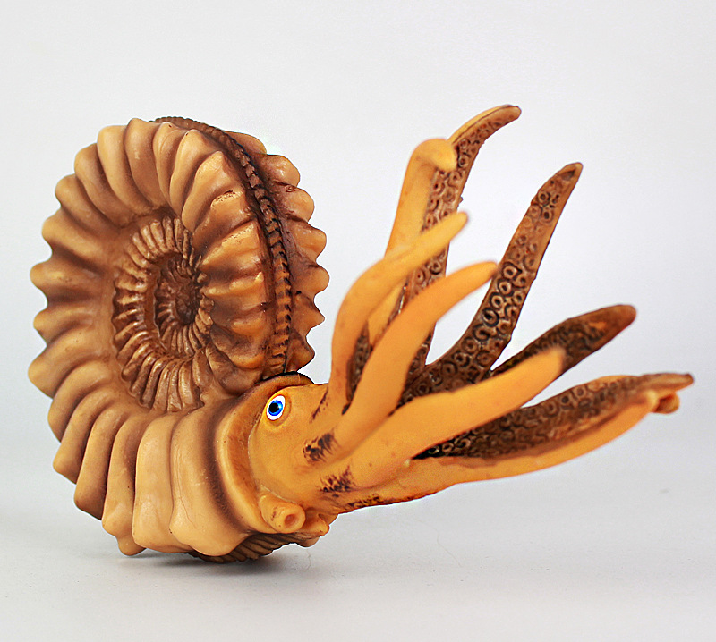 新款仿真鹦鹉螺模型海洋软体生物动物模型塑胶儿童玩具男女孩摆件