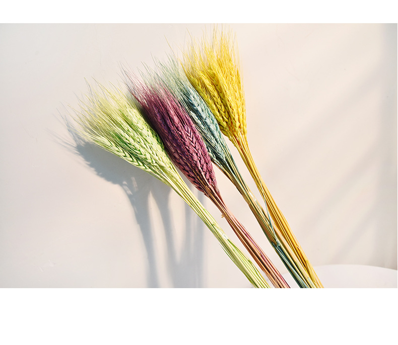 厂家批发麦穗草小麦干花花束礼品盒配材花插花瓶装饰diy