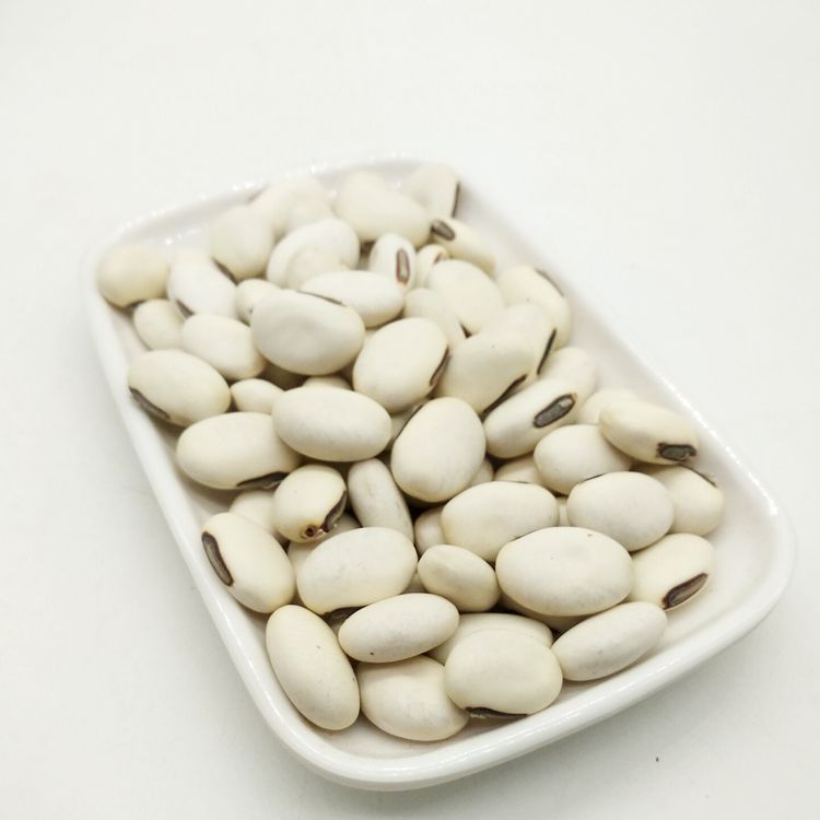 中药材批发 白刀豆 白凤豆 洋刀豆 立刀豆 刀豆