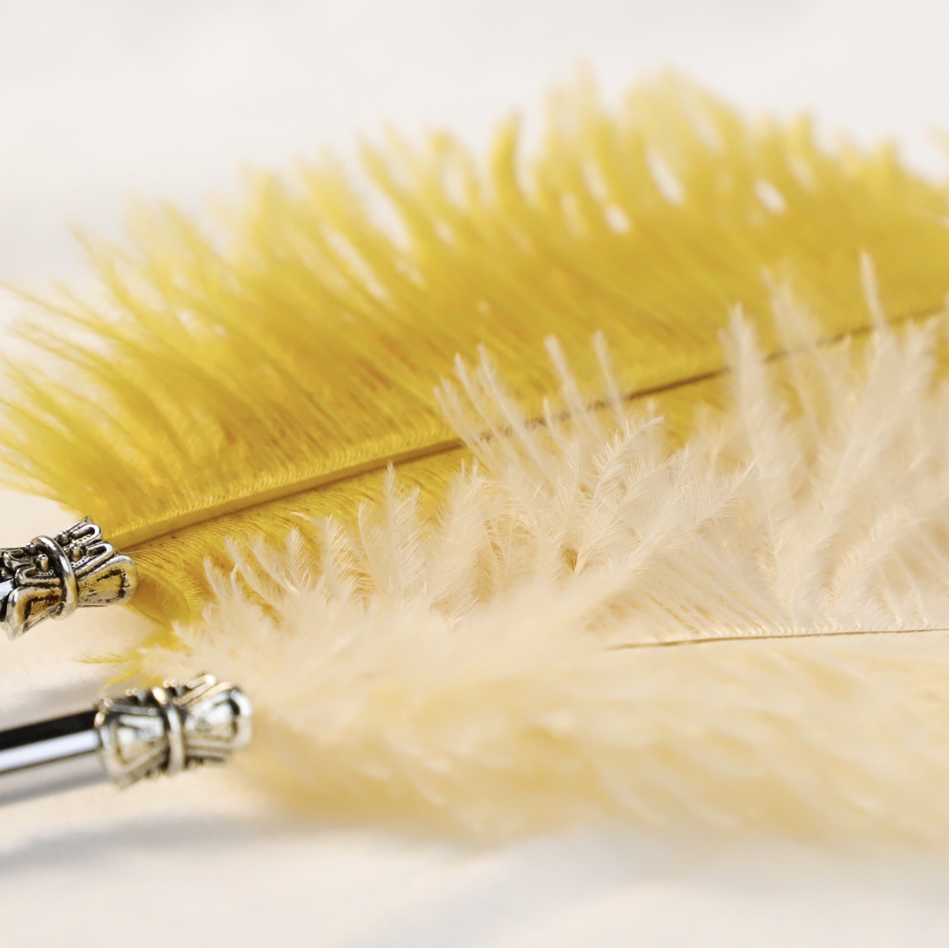 鸵鸟羽毛笔 (11).jpg