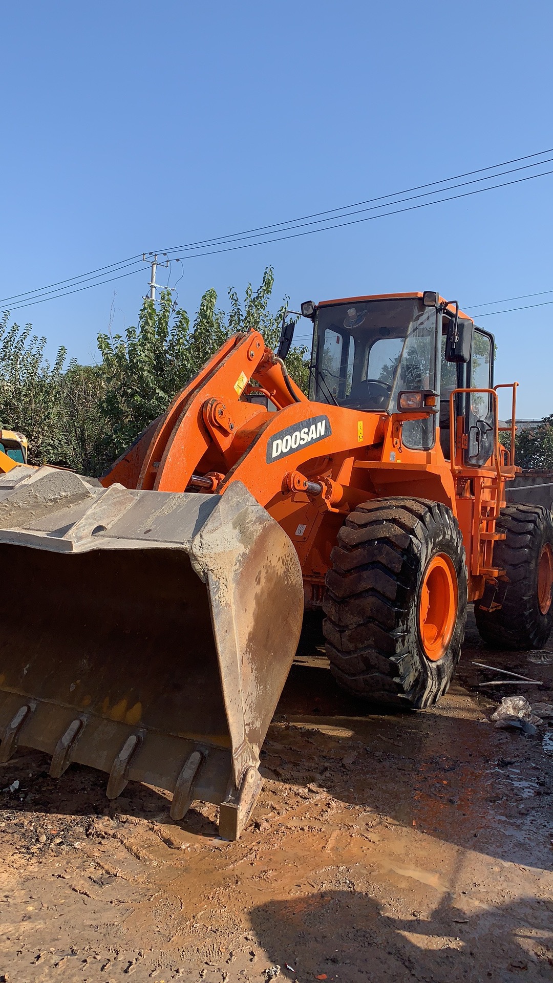 出售斗山503装载机 斗山303装载机 斗山铲车型号