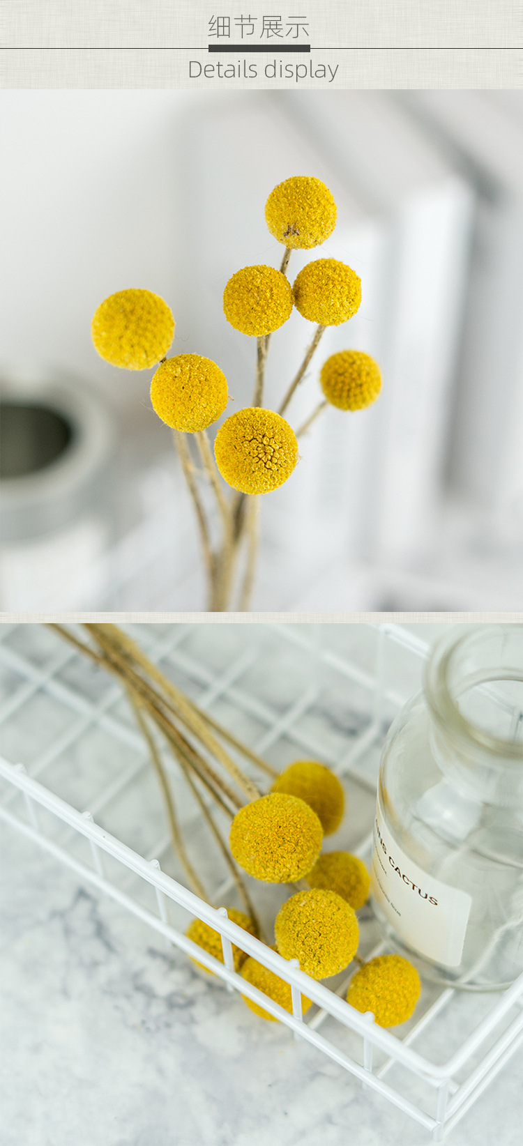 【支持混批】黄金球金锤花干花永生花北欧风店铺家居客厅装饰摆设