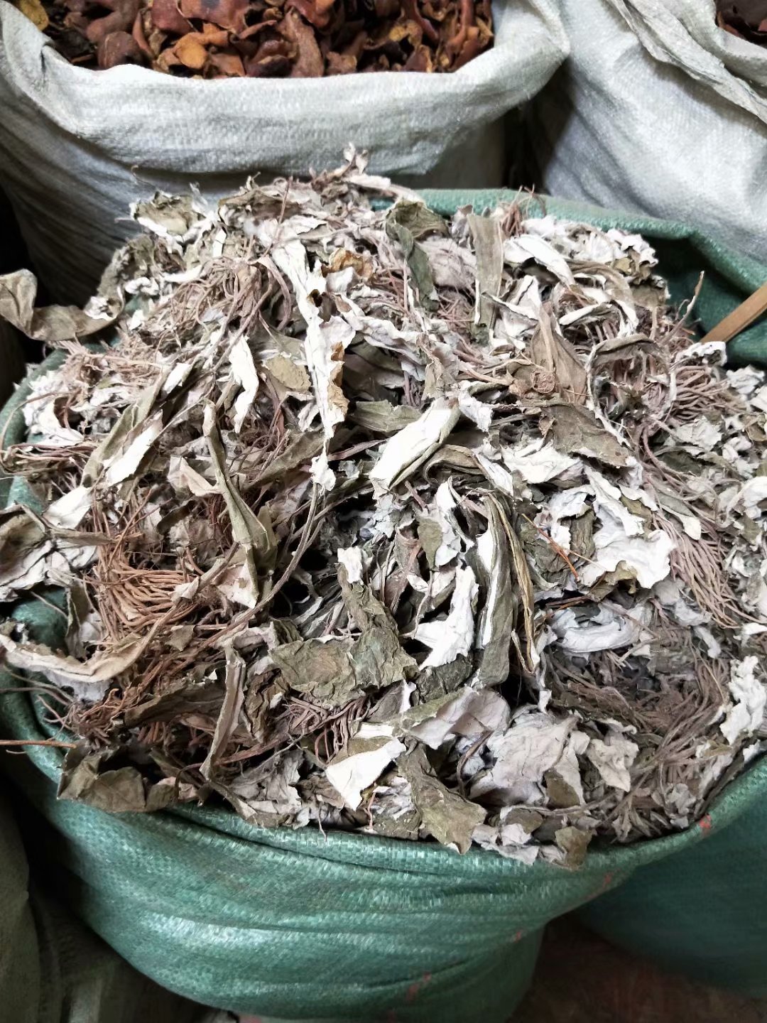 中药材毛大丁白眉草一枝香每件500克