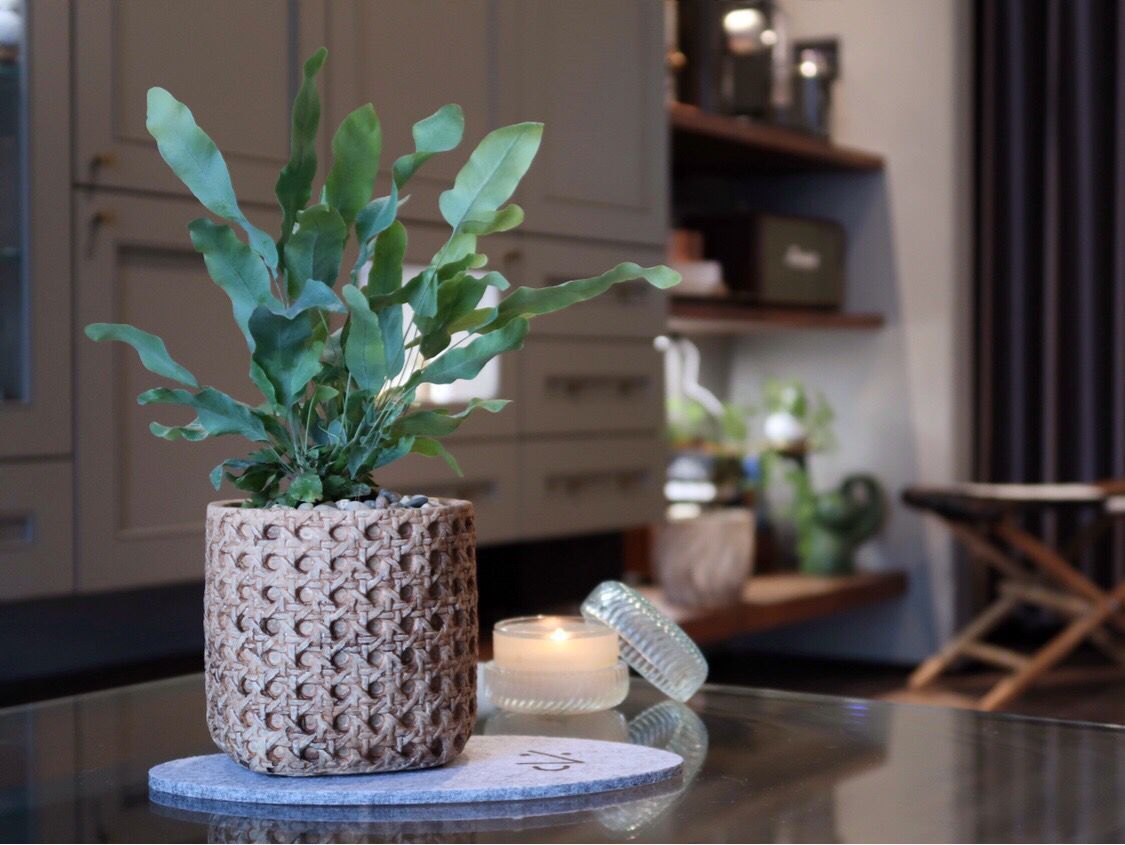 复古水泥花盆地中海室内盆栽创意绿植盆器