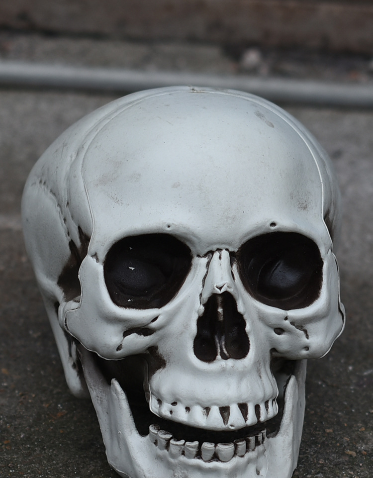 骷髅头 万圣节鬼屋装饰恐怖道具 仿真人头骨模型密室派对恶搞摆件