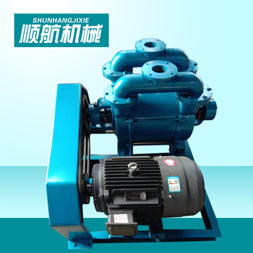 sk水环真空泵厂家直供铸铁sk系列耐腐蚀真空泵sk12型号真空泵