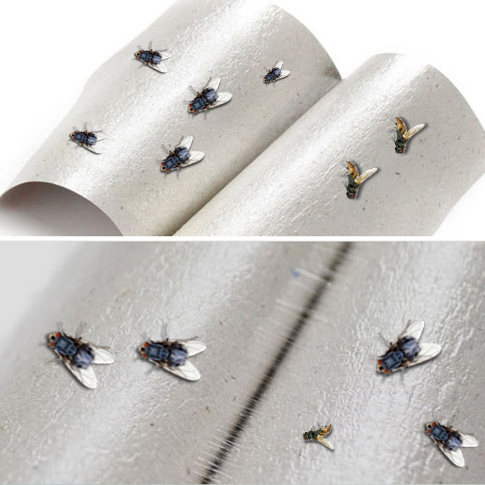 苍蝇贴粘蝇纸 粘蝇纸