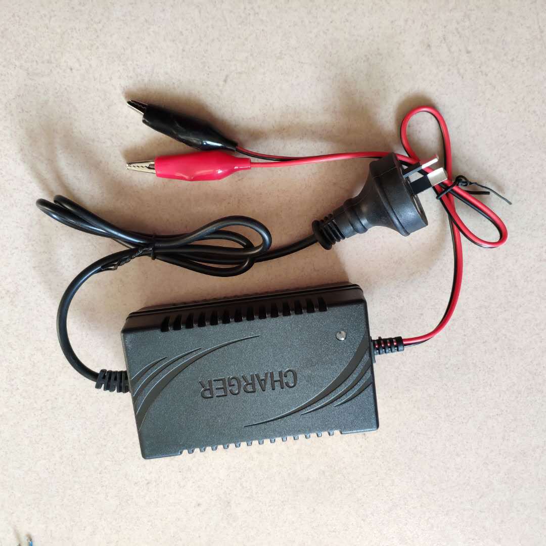 驰风6v2a智能充电器短路反接过流过载保护蓄电池专用