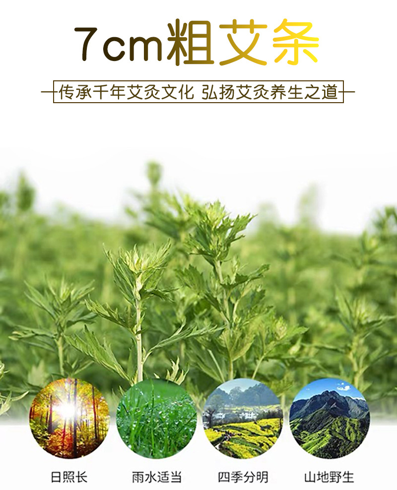 加大加粗艾灸条 持久燃烧20小时自带灭火筒7cm加粗大炮灸艾条