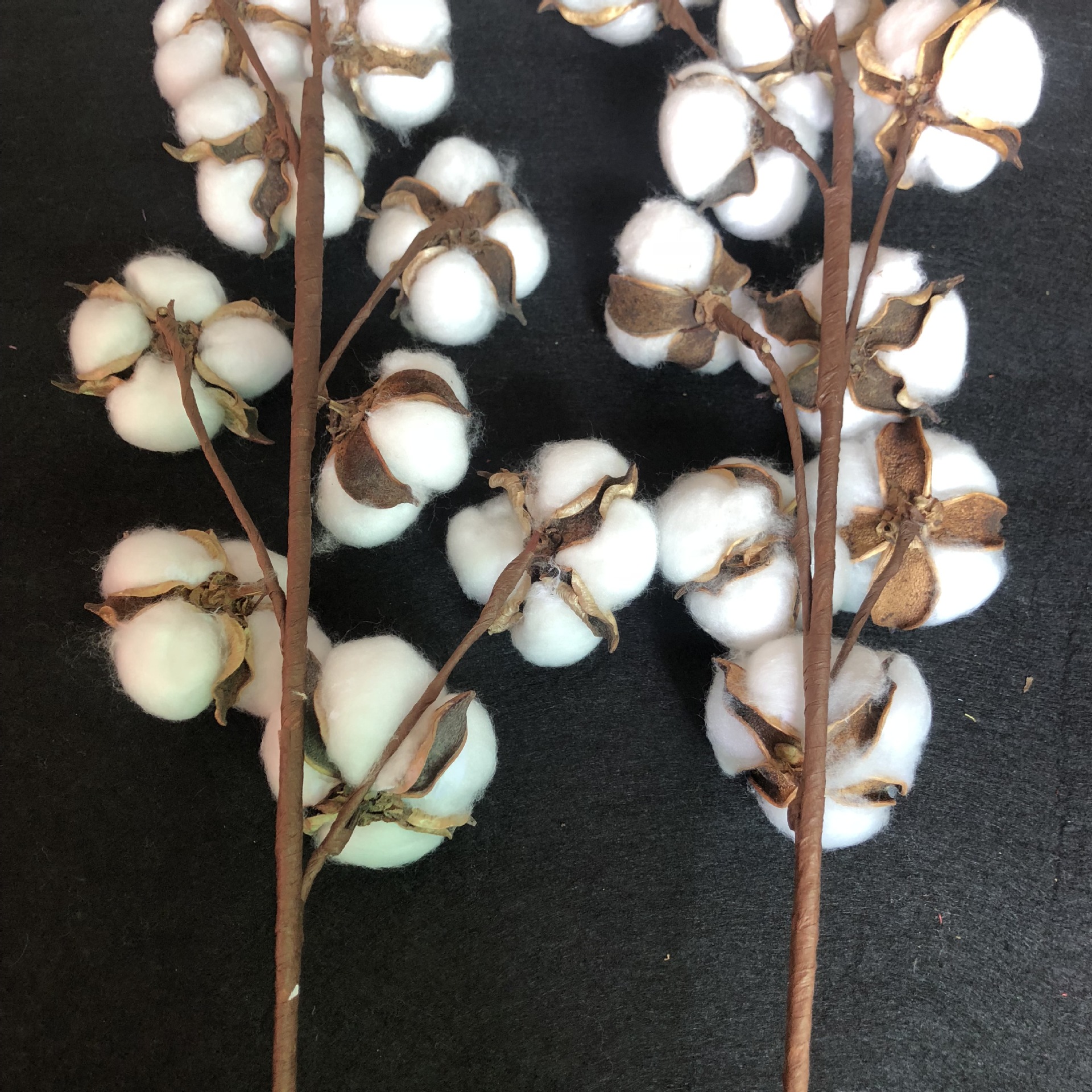 仿真10头天然棉花干花花束 家居装饰婚庆手捧花植物墙假花 棉花枝