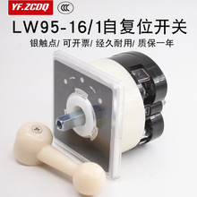 LW95-16 B0013/1自复位船用电机倒顺正反转万能转换开关电源切换