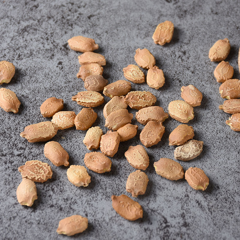 中药材苦瓜籽低温烘焙无硫苦瓜子干净无杂药食同源一件代发价格优