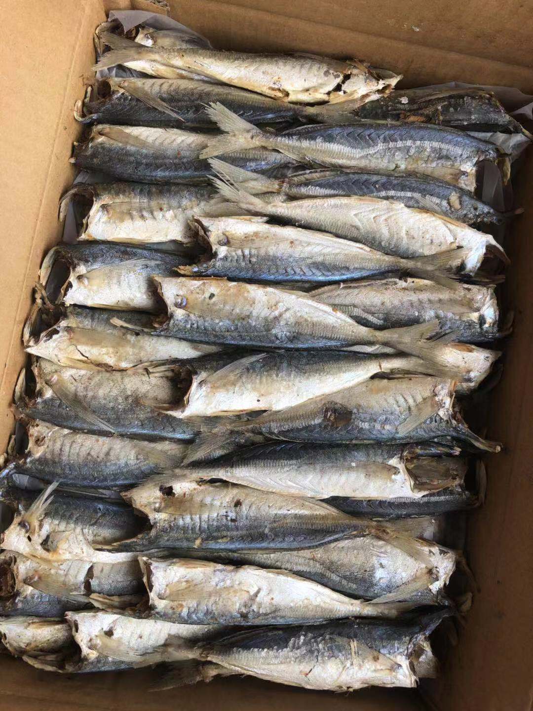 池鱼熟池鱼干巴浪鱼海鲜干货海产干货批发