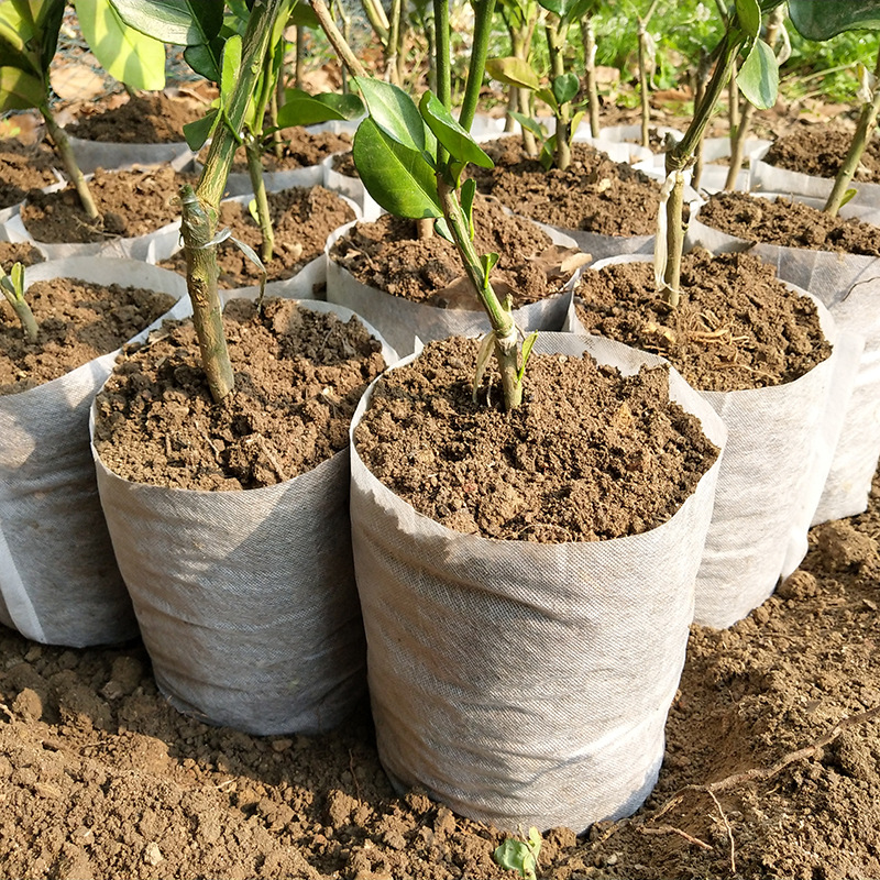 无纺布育苗袋批发营养钵美植袋育苗杯热卖加厚容器杯定做植树袋
