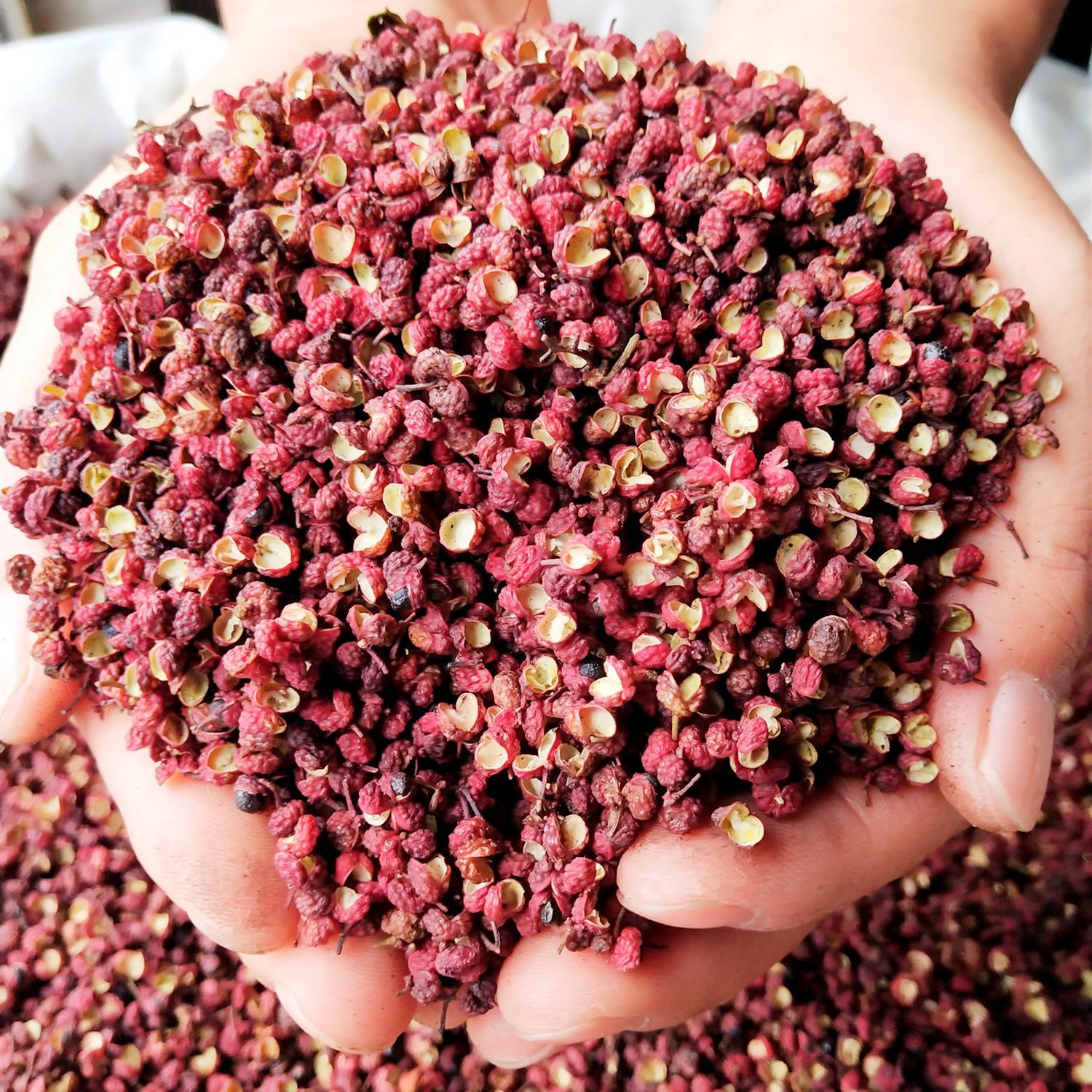 四川汉源大红袍花椒包邮500克干红花椒批发麻椒食用特麻磨粉