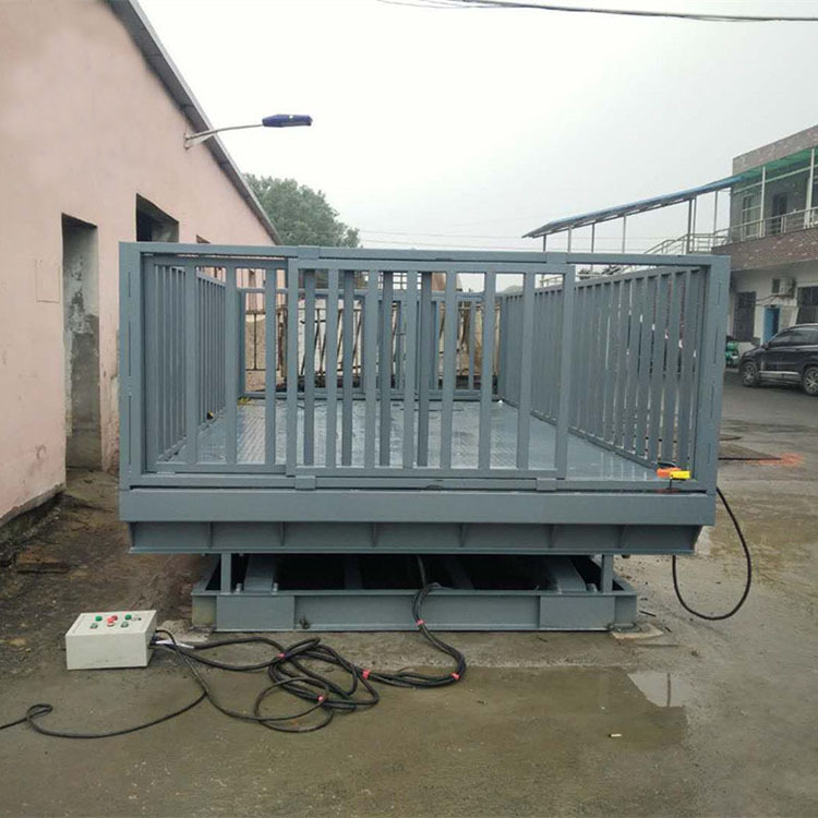 固定剪叉式升降机养猪场专用装卸台厂家非标定做电动液压卸猪台