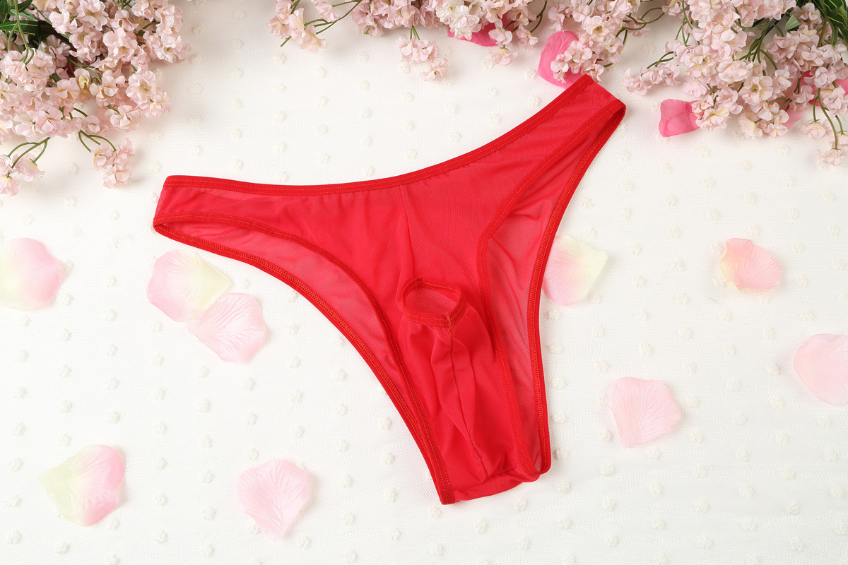 供应男式情趣内裤 男士性感透视丁字裤 g21