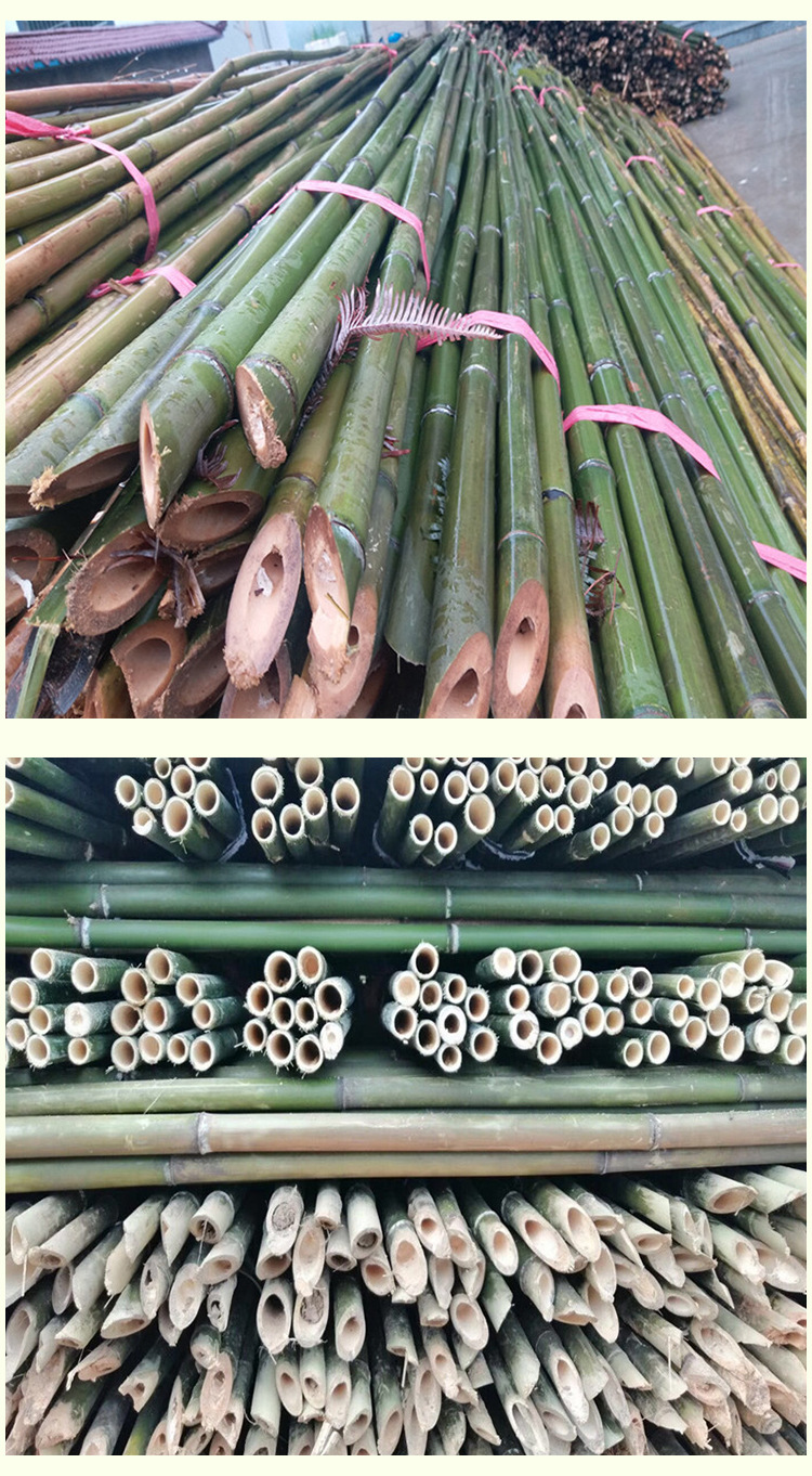 园林竹竿 批发架杆|山药架|红枣架|豆角架竹杆厂家直销 园林竹杆
