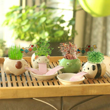 喝吧客小动物萌宠迷你水培植物盆栽绿植草头娃娃桌面创意植载