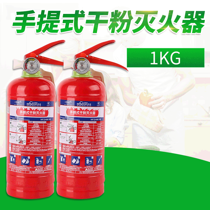 1kg手提式干粉灭火器车载小型便携式干灭火器年检审车1公斤灭火器