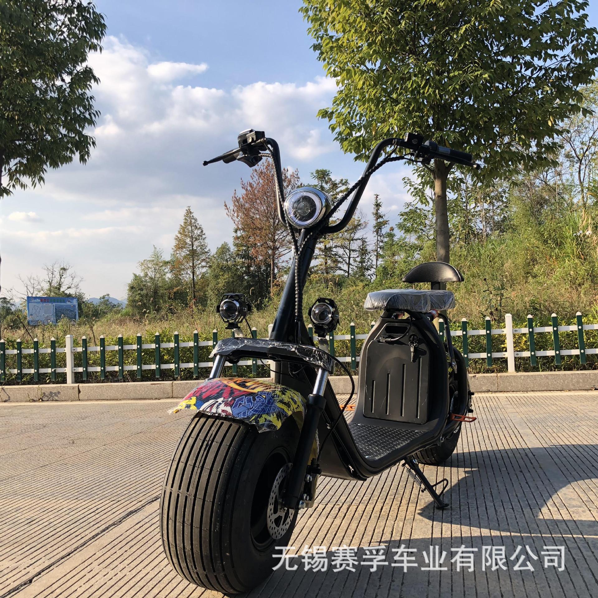 哈雷电动车电瓶车铅酸电池60v改装摩托车大轮胎代步车太子车