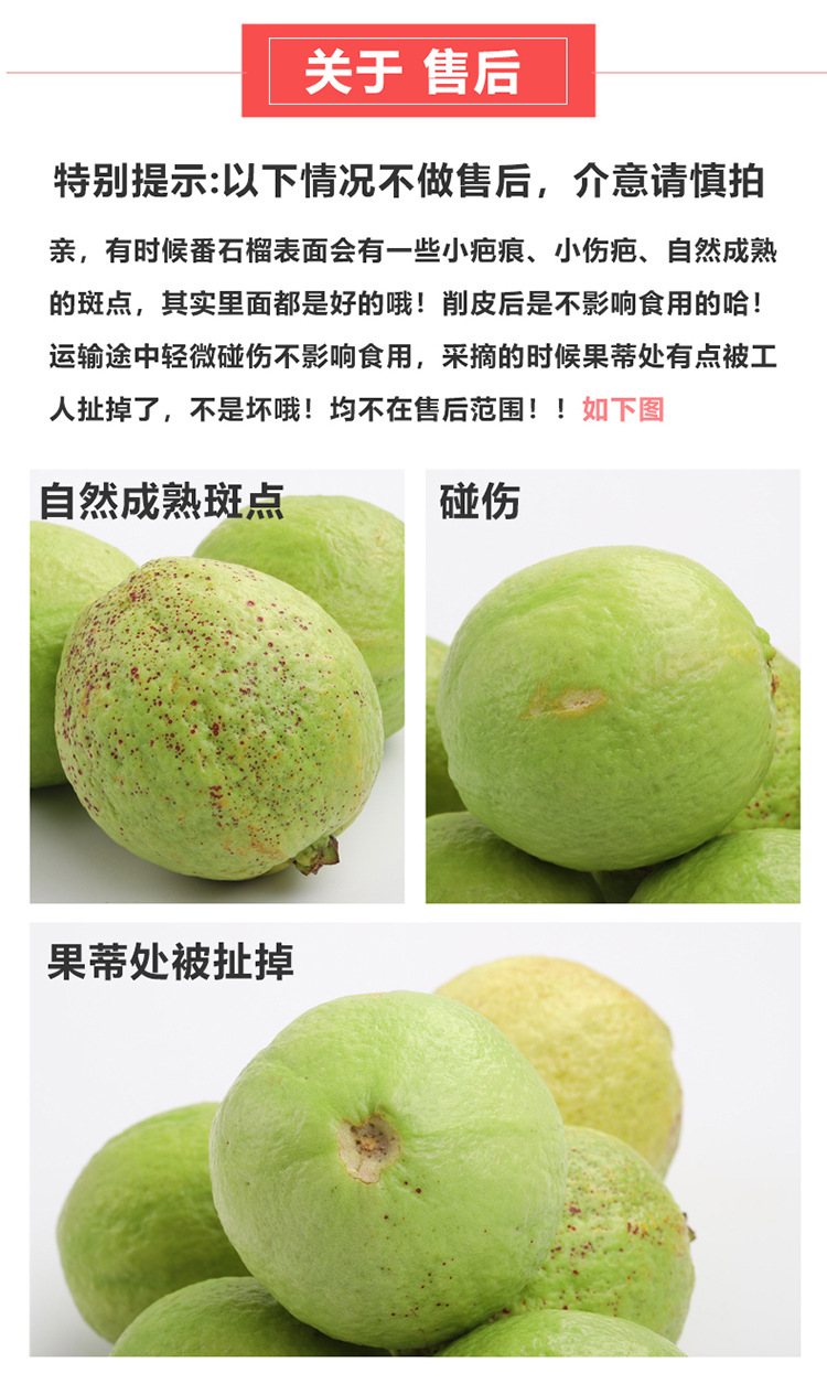 广东红心芭乐 送酸梅粉新鲜水果番石榴 产地直发一件代发