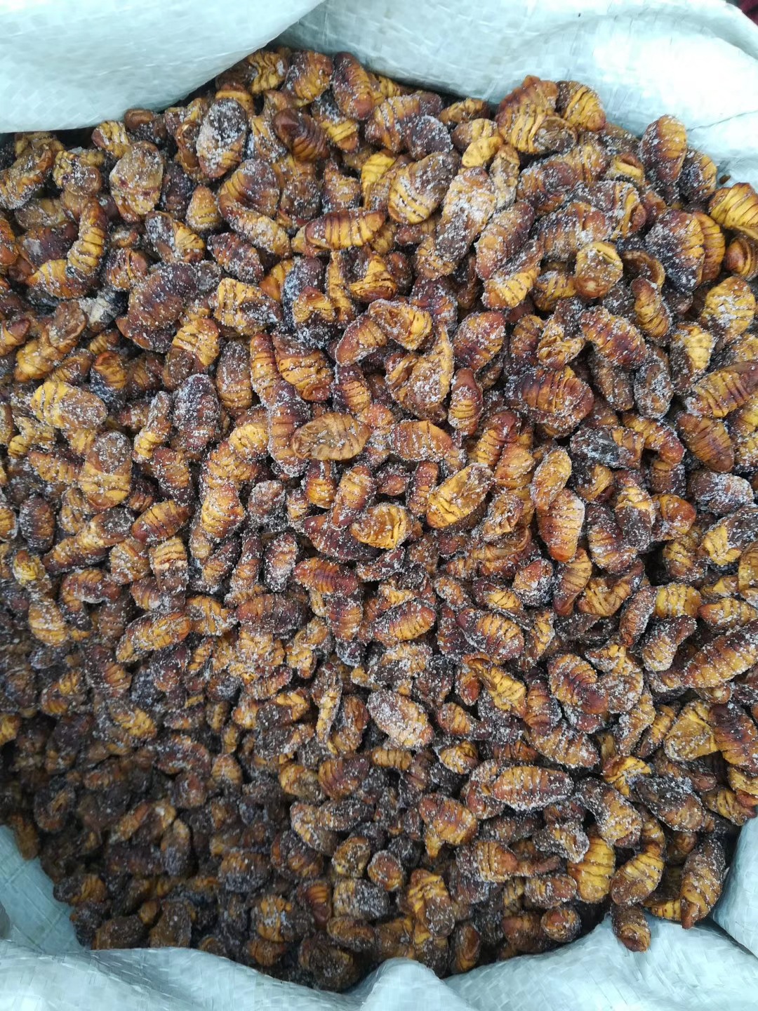 冷冻食用小蚕蛹油炸【蚕蛹5斤每袋顺丰包邮】电商代发
