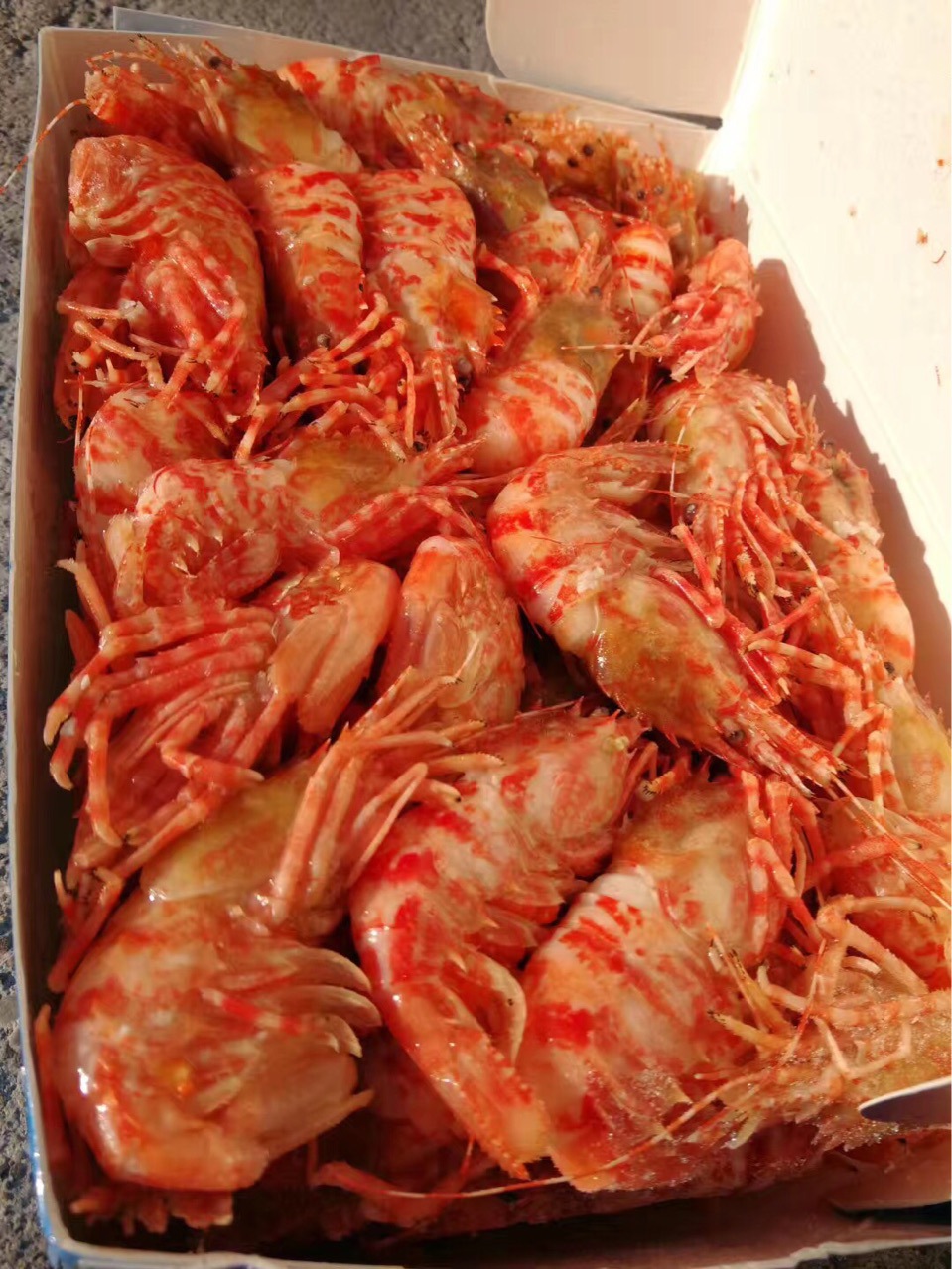 格陵兰虾(火龙虾)-阿里巴巴