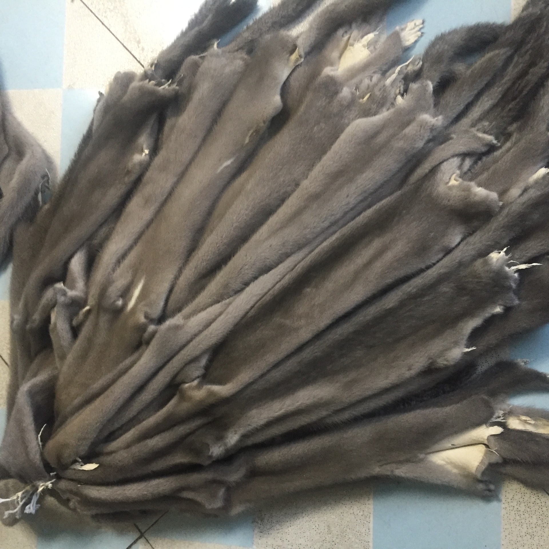 水貂皮价格也不贵出售白色灰色棕色水貂公皮做围巾配饰diy