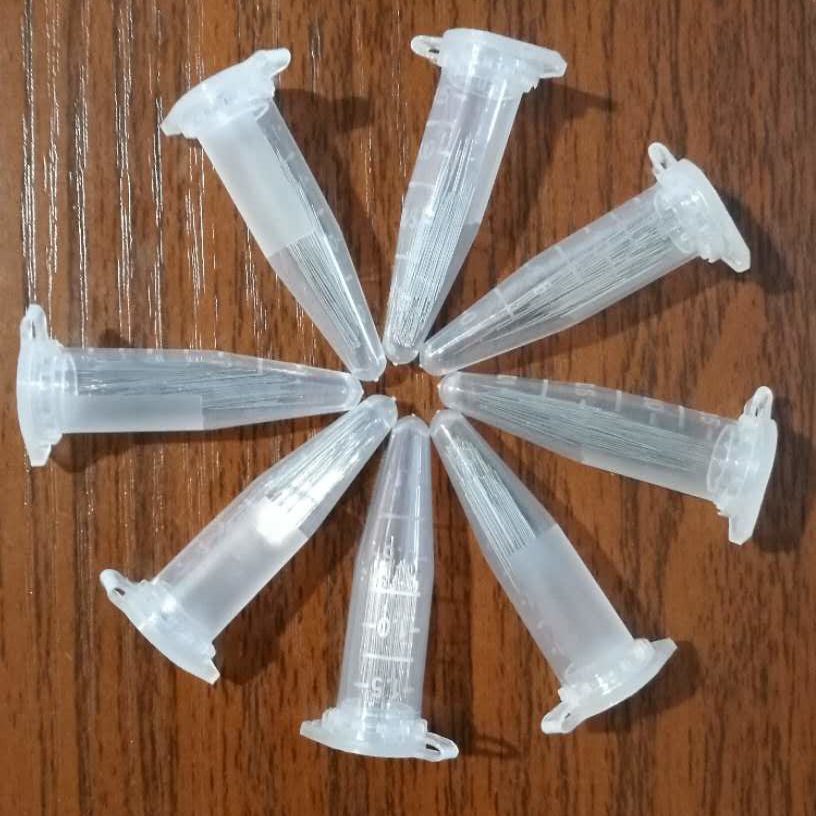 供应不锈钢微针 二重针 短针 昆虫针 标本针