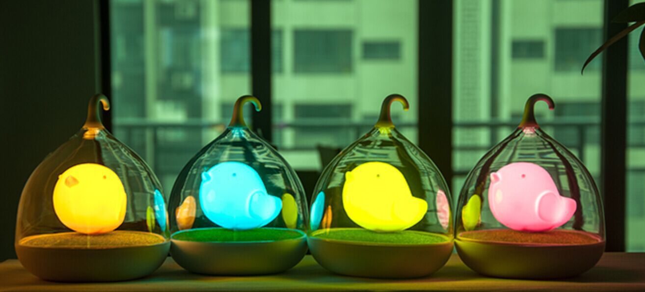 创意鸟笼奇幻精灵微景小夜灯 触碰调光led台灯 儿童卧室小夜灯