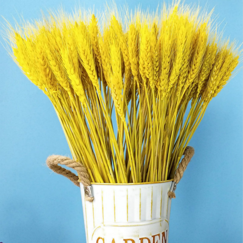 麦穗干花花束开业大麦田园装饰礼品拍摄道具天然干花真花包邮