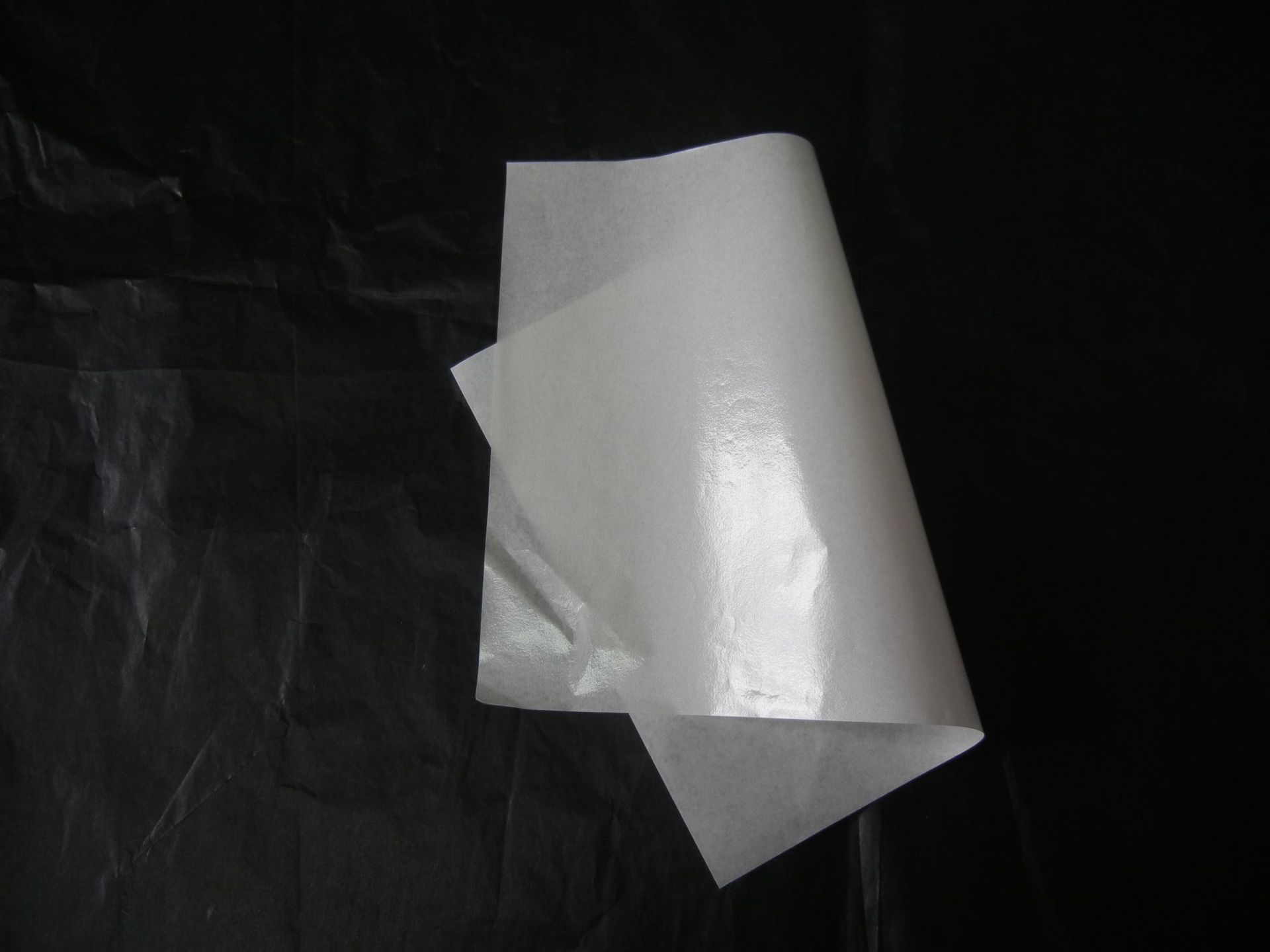 白色淋膜纸厂家批发 防水白牛皮包装纸薯条袋纸40g白色淋膜牛皮纸