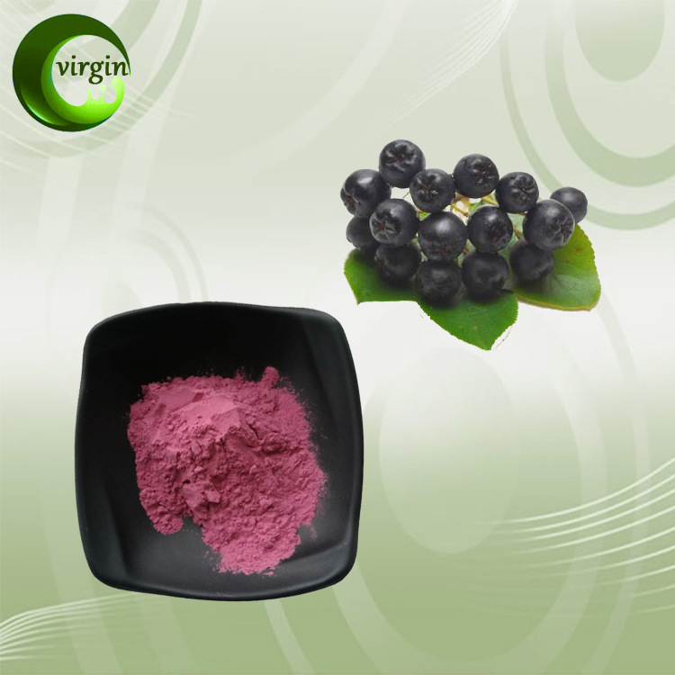 厂家直销 黑果腺肋花楸花青素10% 天然提取物原料 品质保证 包邮