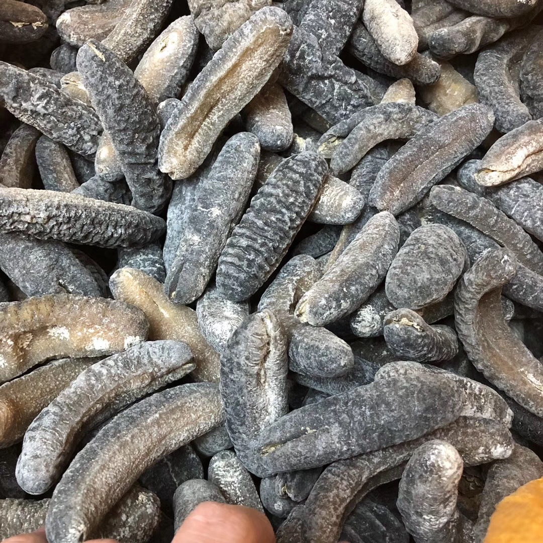 批发渠道深海天然野生海参 非洲明秃参 秃参 纯淡干海参干贷