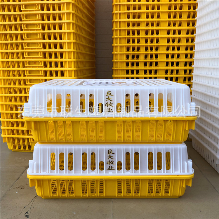 供应广西桂林塑料运输鸡笼 养殖场鸡鸭周转箱 全新加厚耐用鸡笼子