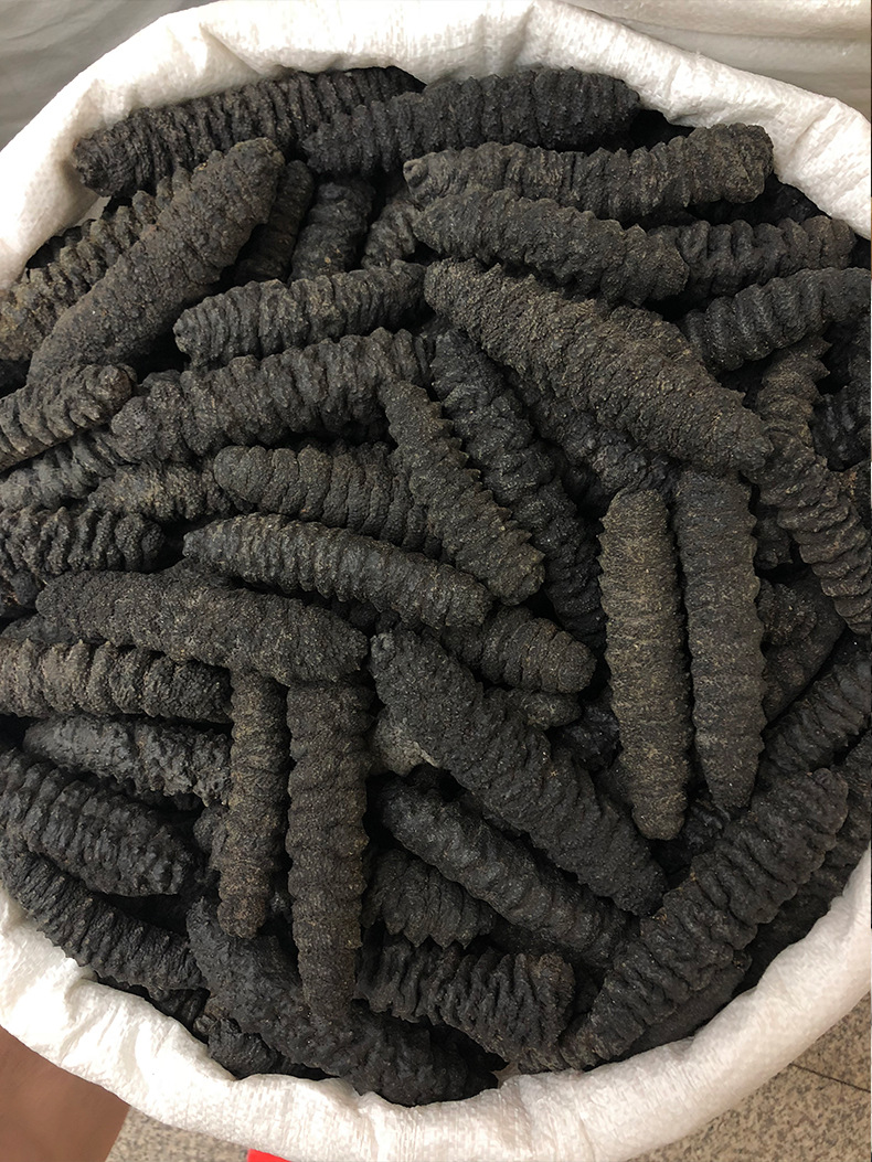 淡干海参 淡干螺纹参 底播淡干螺丝参龙纹参海味干货黑刺参螺纹参