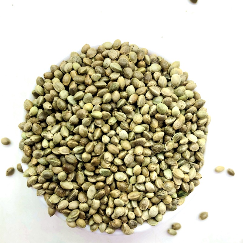 巴马火麻仁 火麻子 麻子仁 小籽火麻子 榨油用火麻籽 鸟粮鸽粮