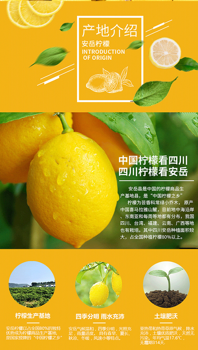 原产地四川安岳柠檬尤力克品种非青柠檬5斤礼盒装包邮