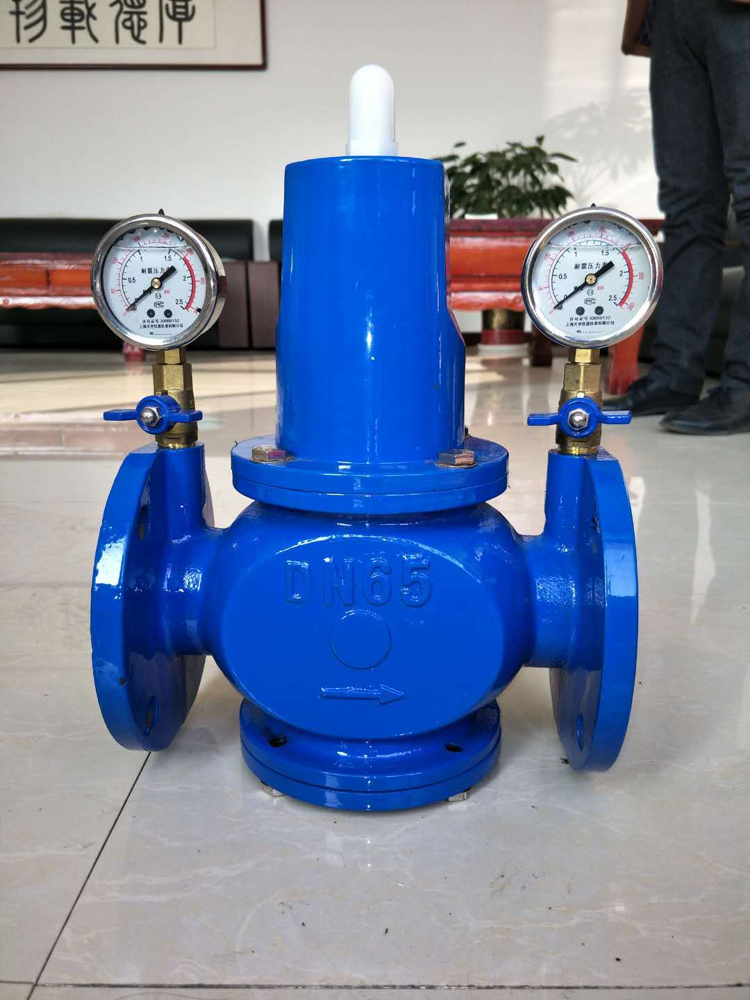 厂家专业生产 可调式减压阀y110x 水用内螺纹减压稳压阀