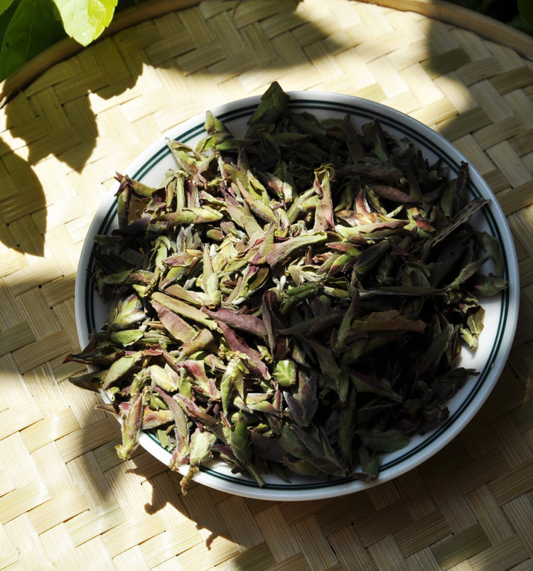 云南普洱茶 邦东大雪山野生芽孢茶 桃花醉 临沧芽苞茶 紫芽绿芽包